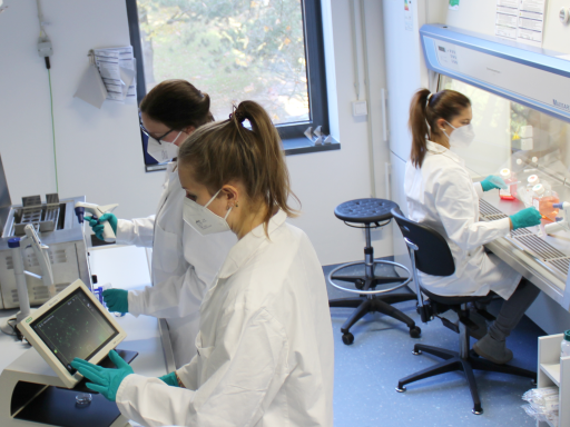 View into cell culture lab