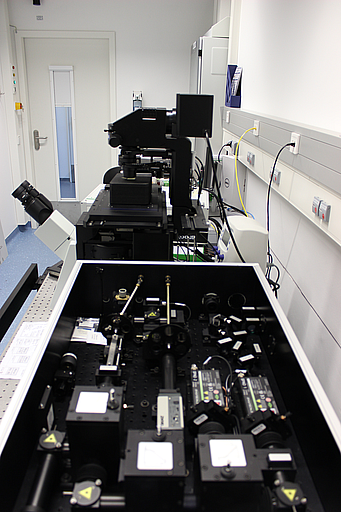 Confocal Fluorescence Microscope